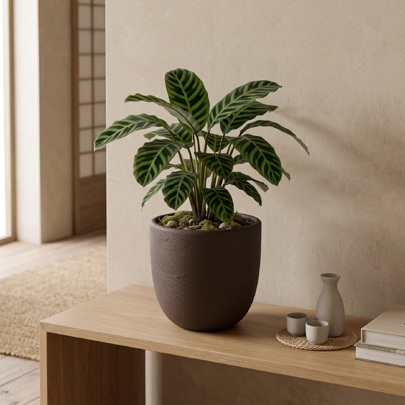 Matera en Cerámica Acanalada Cónica 26 cm - ambiente #ia cafe - Tumatera.co