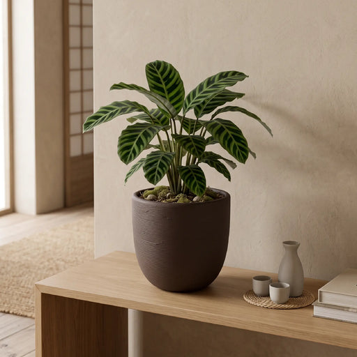Matera en Cerámica Acanalada Cónica 26 cm - ambiente #ia cafe - Tumatera.co