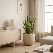 Matera en Cerámica Acanalada Cónica 32 cm - ambiente #ia arena - Tumatera.co