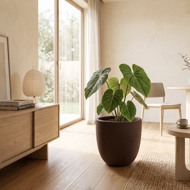 Matera en Cerámica Acanalada Cónica 32 cm - ambiente #ia cafe - Tumatera.co