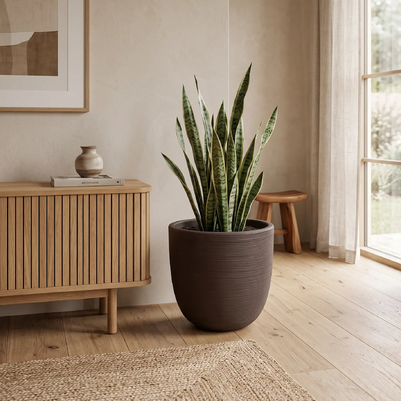 Matera en Cerámica Acanalada Cónica 38 cm - ambiente #ia cafe - Tumatera.co
