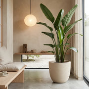 Matera en Cerámica Acanalada Cónica 43 cm - ambiente #ia arena - Tumatera.co