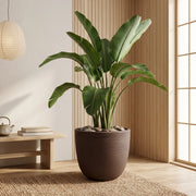 Matera en Cerámica Acanalada Cónica 43 cm - ambiente #ia cafe - Tumatera.co