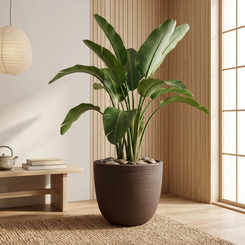 Matera en Cerámica Acanalada Cónica 43 cm - ambiente #ia cafe - Tumatera.co