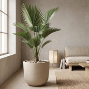 Matera en Cerámica Acanalada Cónica 50 cm - ambiente #ia arena - Tumatera.co