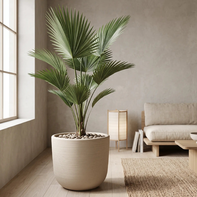 Matera en Cerámica Acanalada Cónica 50 cm - ambiente #ia arena - Tumatera.co
