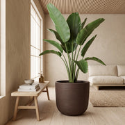 Matera en Cerámica Acanalada Cónica 50 cm - ambiente #ia cafe - Tumatera.co