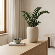 Matera en Ceramica Cilindrica Acanalada 16 cm - ambiente #ia arena - Tumatera.co