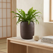 Matera en Ceramica Cilindrica Acanalada 16 cm - ambiente #ia cafe- Tumatera.co
