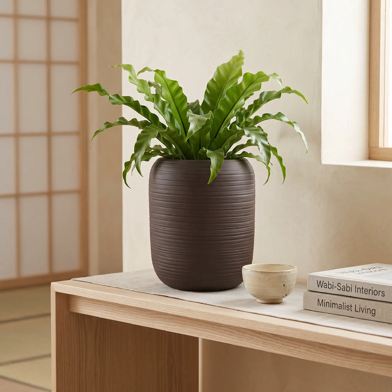 Matera en Ceramica Cilindrica Acanalada 16 cm - ambiente #ia cafe- Tumatera.co