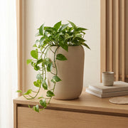 Matera en Ceramica Cilindrica Acanalada 20 cm - ambiente #ia arena - Tumatera.co