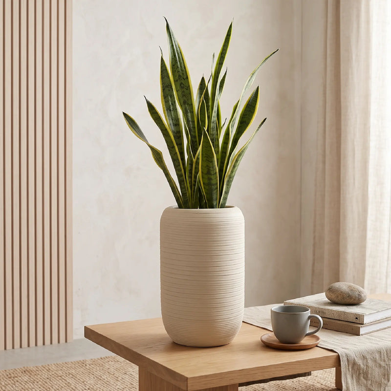 Matera en Ceramica Cilindrica Acanalada 24 cm - ambiente #ia arena - Tumatera.co