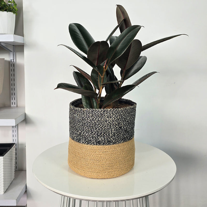Cesta Cilindro De Yute 22 x 22 cm