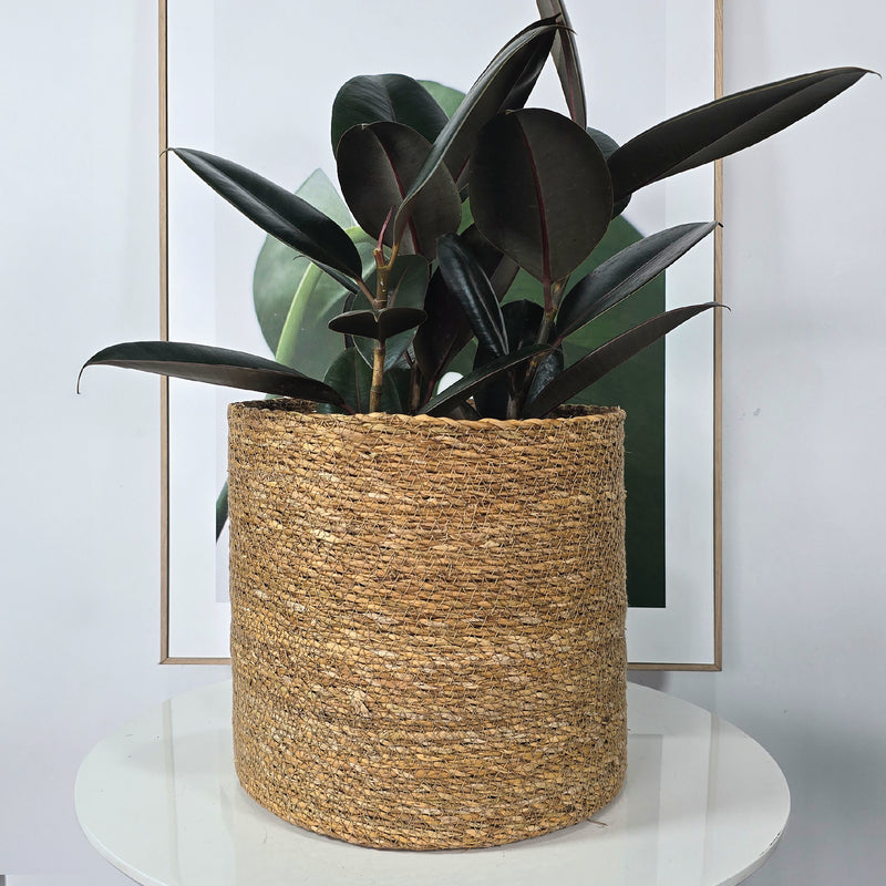 Cesta Cilindro De Algas Marinas 26 x 26 cm