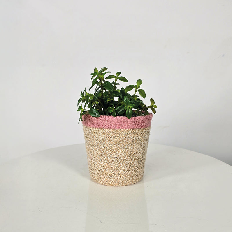 Cesta Cilindro De Yute 13 x 13 cm Rosa