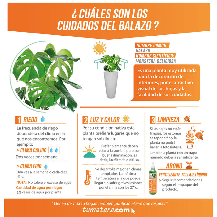 Combo Matera Cemento Cónica 61 cm con Balazo