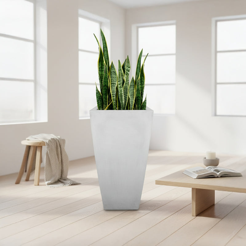 Combo de matera piramidal de cemento gris de 61cm de altura con una alta planta de Sansevieria (Lengua de suegra) de hojas verticales, plantada en su interior. #ia - Tumatera.co