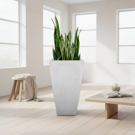 Combo de matera piramidal de cemento gris de 61cm de altura con una alta planta de Sansevieria (Lengua de suegra) de hojas verticales, plantada en su interior. #ia - Tumatera.co