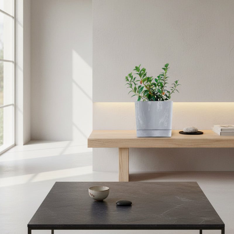 Combo de matera cilíndrica de 15cm con efecto concreto gris, con una planta Pescadito (Nematanthus) con hojas verdes y flores naranjas en su interior. #ia - Tumatera.co