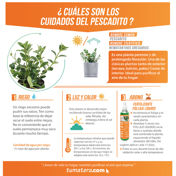 Combo Matera Tubo P Beton 15 cm con Pescadito