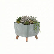 Combo Matera Gracia Square Beton 29 Cm + Terrario Suculentas - Tumatera.co