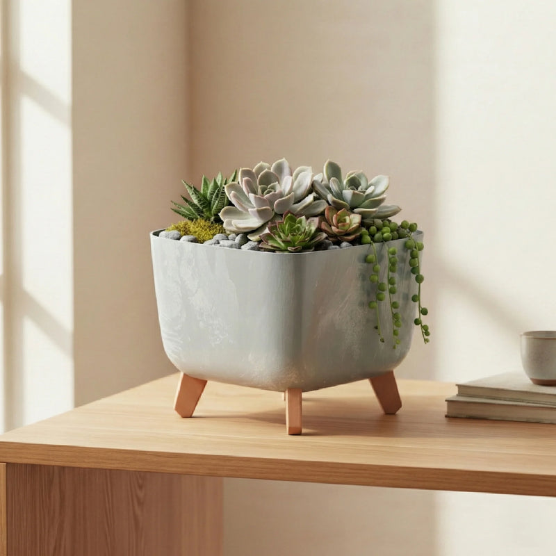 Combo de terrario de suculentas variadas, plantado en una matera cuadrada de 29cm de color gris con un acabado de efecto concreto. #ia - Tumatera.co