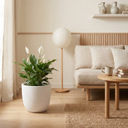 Matera en Cerámica Acanalada Cónica 32 cm - ambiente #ia blanco - Tumatera.co