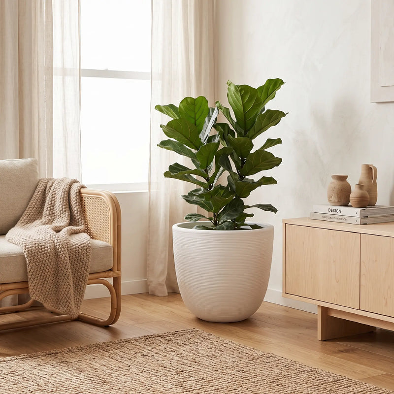 Matera en Cerámica Acanalada Cónica 38 cm - ambiente #ia blanco - Tumatera.co