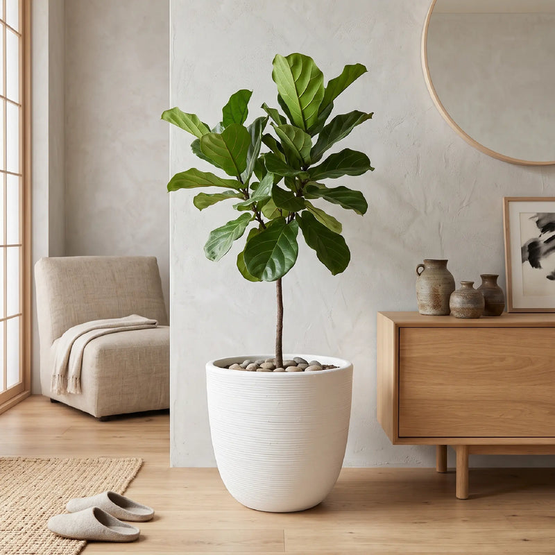 Matera en Cerámica Acanalada Cónica 43 cm - ambiente #ia blanco - Tumatera.co