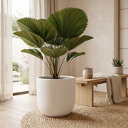 Matera en Cerámica Acanalada Cónica 50 cm - ambiente #ia blanco - Tumatera.co