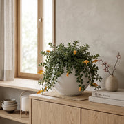 Esfera en Cerámica Acanalada 23 cm - ambiente #ia blanco - Tumatera.co