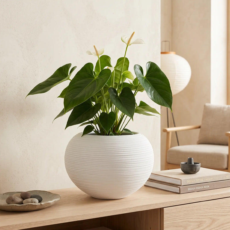 Esfera en Cerámica Acanalada 28 cm - ambiente #ia blanco - Tumatera.co 