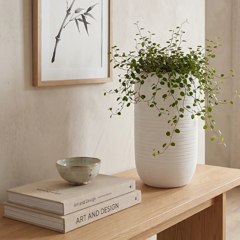 Matera en Ceramica Cilindrica Acanalada 24 cm - ambiente #ia blanco - Tumatera.co