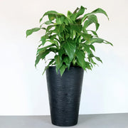 Matera Terra 38 x 55 cm - Tumatera.co