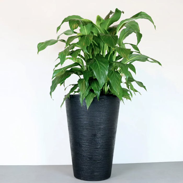 Matera Terra 38 x 55 cm