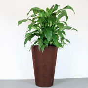 Matera Terra 38 x 55 cm - Tumatera.co