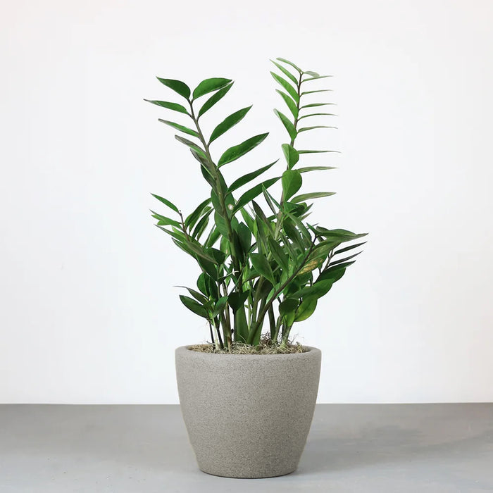 Matera Malta 24 x 20 cm