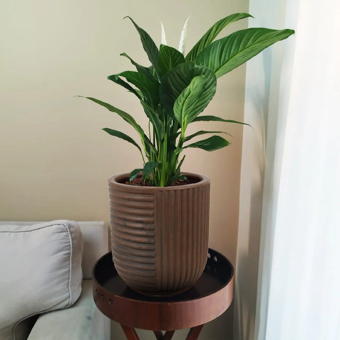 Matera Orto 30 x 34 cm