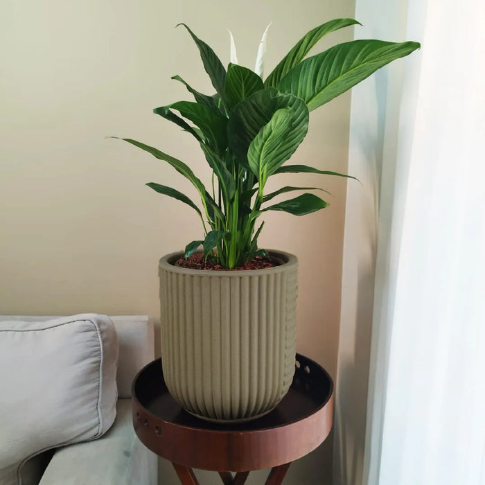 Matera Orto 30 x 34 cm