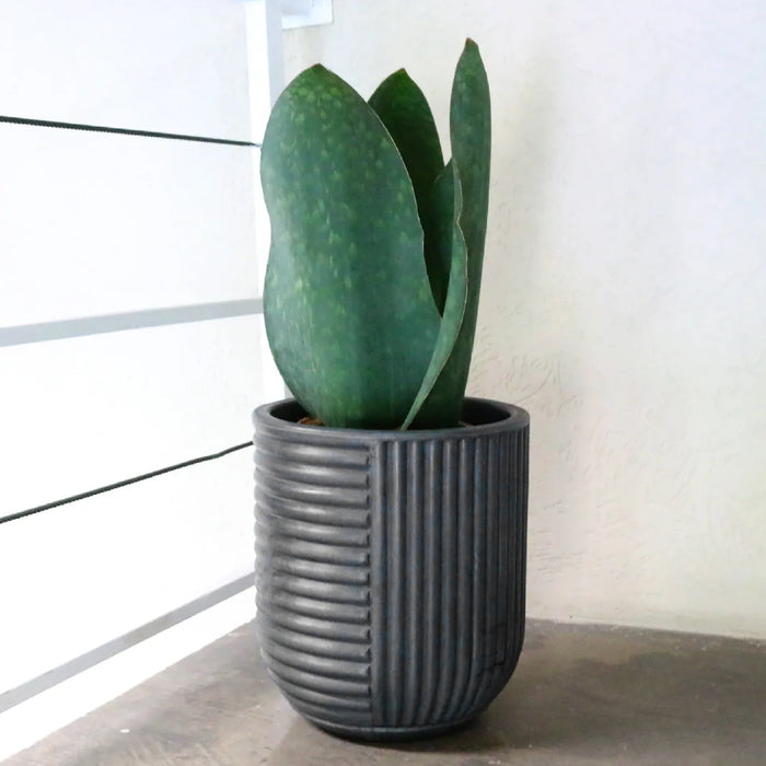 Matera Orto 30 x 34 cm