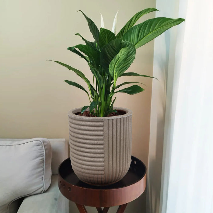 Matera Orto 30 x 34 cm