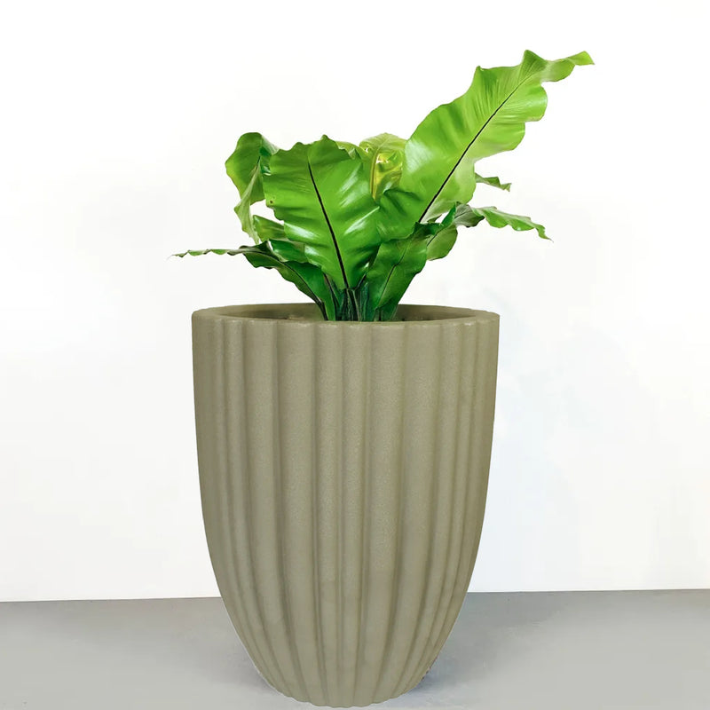 Matera Cacau 32 x 46 cm - Tumatera.co