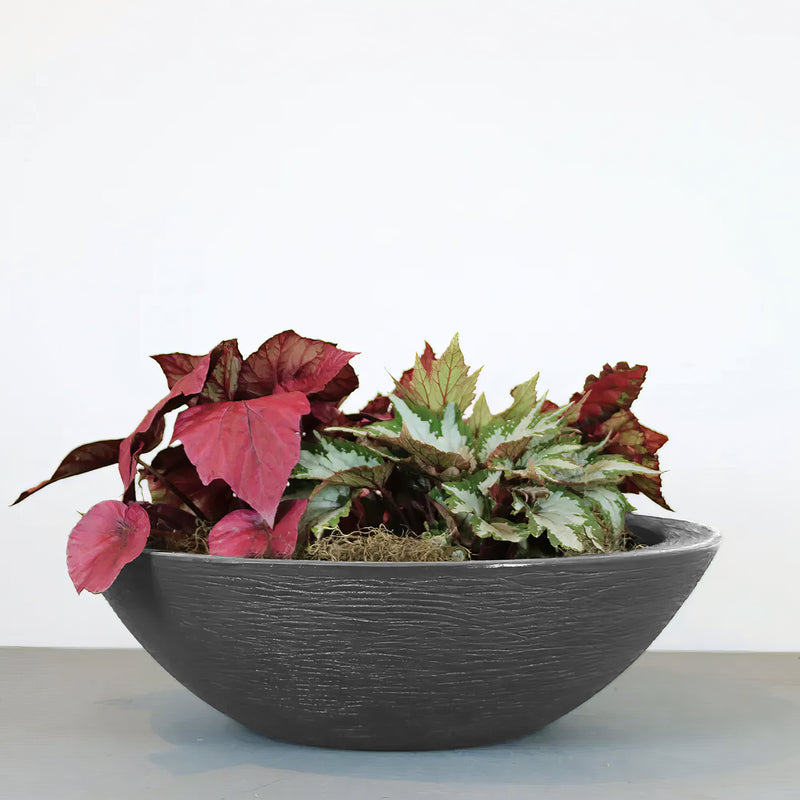 Matera Terra Bowl 55 x 16 cm - Tumatera.co