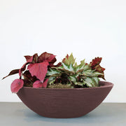 Matera Terra Bowl 55 x 16 cm - Tumatera.co