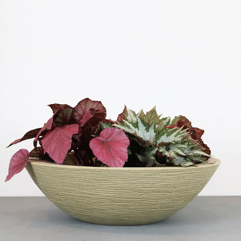 Matera Terra Bowl 55 x 16 cm - Tumatera.co