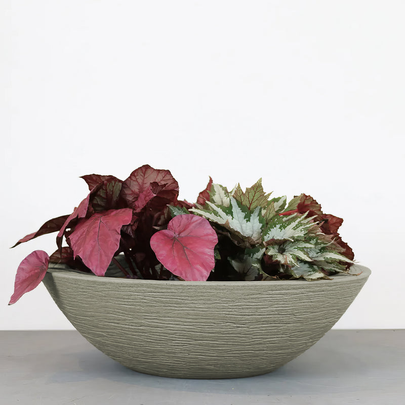 Matera Terra Bowl 55 x 16 cm - Tumatera.co