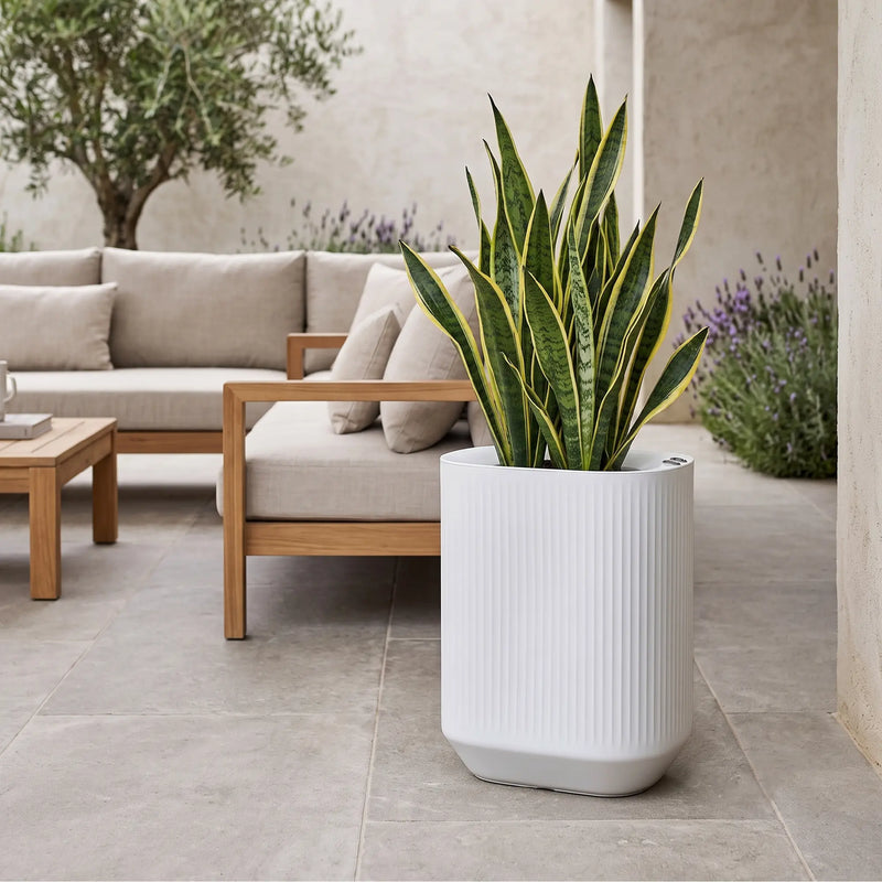 Matera Mod Tall 50 x 60 cm