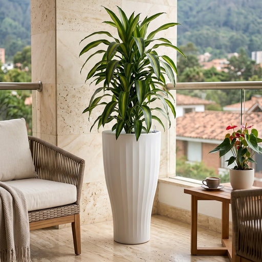 Matera Cup 47 X 88 Cm - ambiente blanco #ia - Tumatera.co