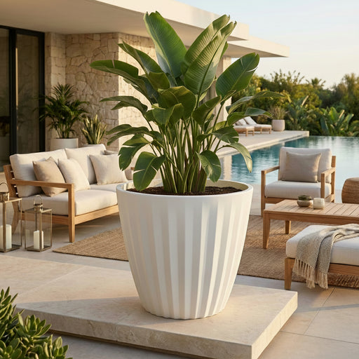 Matera Pleat 68 cm - ambiente #ia - Tumatera.co