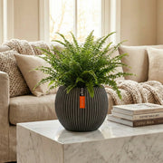 Matera Ball Groove 29 Cm - ambiente #ia - Tumatera.co